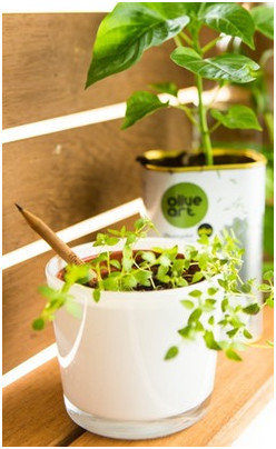 盘点24个成功从Kickstarter众筹平台卖向亚马逊的产品！