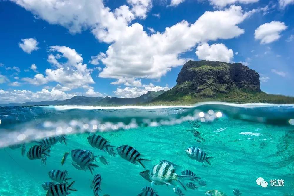 毛里求斯免签,毛里求斯在中国免签停留时间