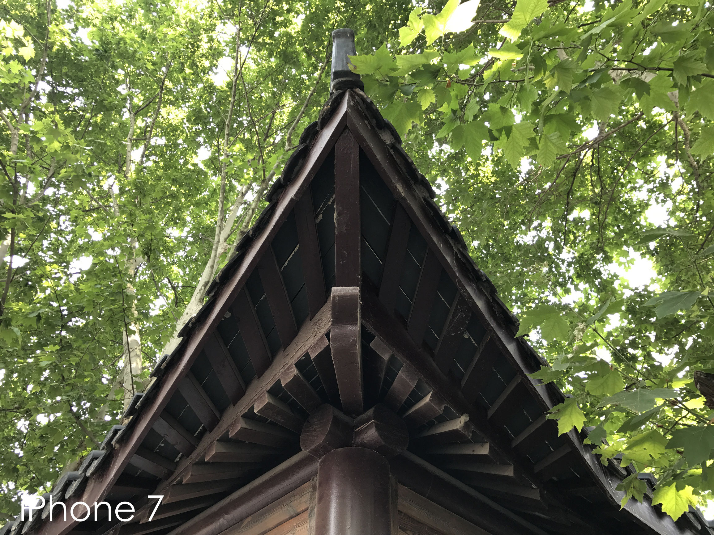 oppo手机相机怎么调拍照好看,不玩游戏拍照好的oppo手机