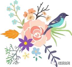 瑞斯比利经典——秘密花园之绿野仙踪