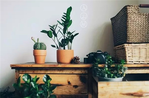 楚乔传朝代房间,楚乔传和琅琊榜哪个先出来