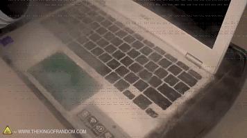 液氮冷冻生物复活,被液氮冻住能复活吗