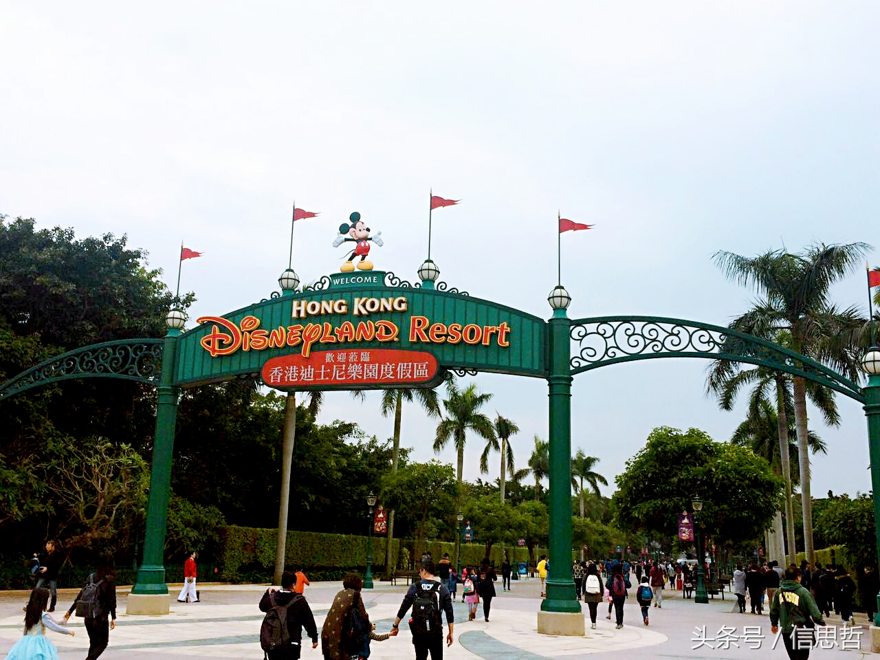 去香港旅游应该去哪玩,去香港旅游攻略最新消息