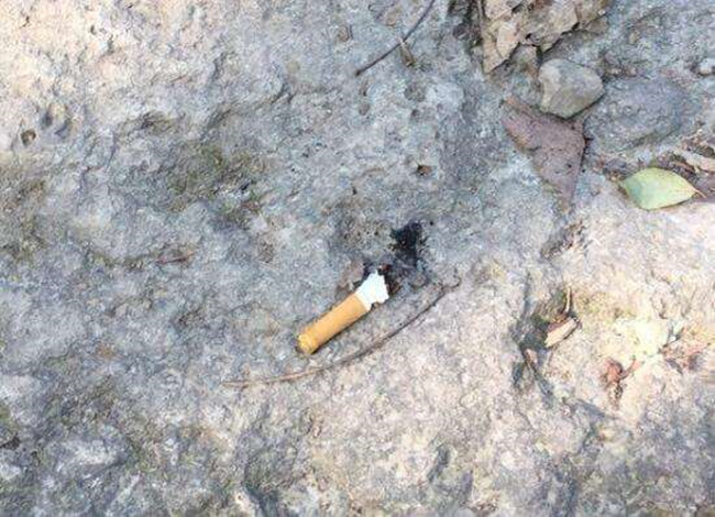 姜紫雅回家(下)