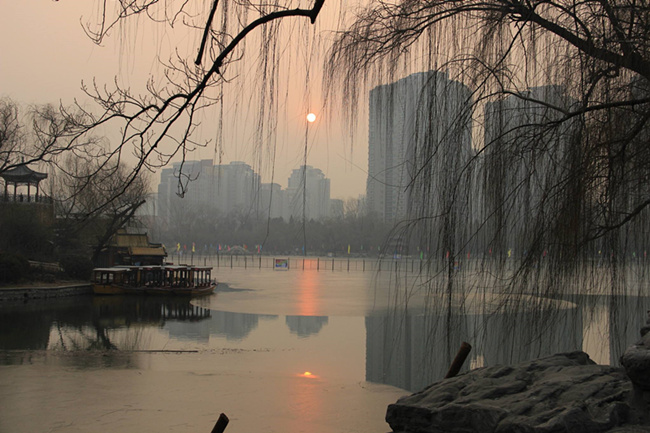 姜紫雅回家(下)