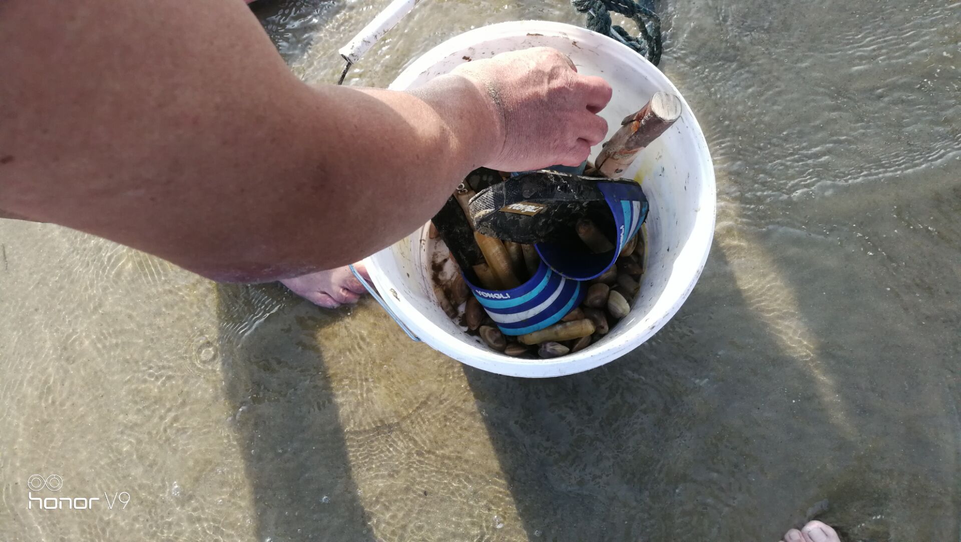 黄蛤怎么捕食,挖青蛤的正确方法视频