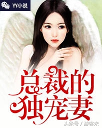 总裁的独宠妻小说书单推荐,总裁的独宠妻小说全文免费阅读