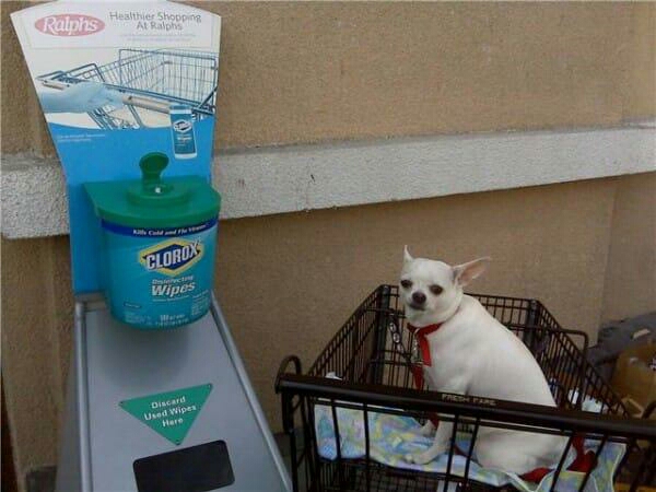 逛超市小孩从购物车掉下来,逛超市丢孩子