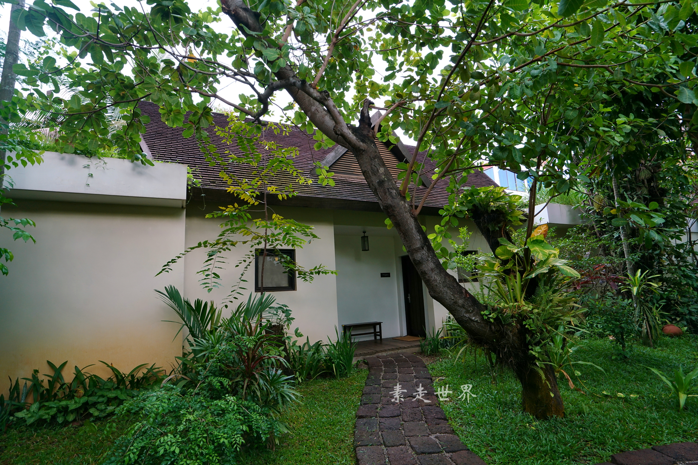 柬埔寨暹粒除了吴哥窟还能去哪？抛几个小众方式让你措手不及！