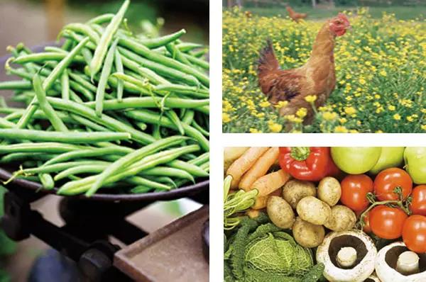 英德九州驿站攻略,英德九州驿站下雨能玩吗