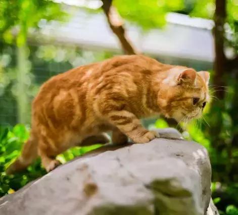 程两两|扁脸超厉害的!