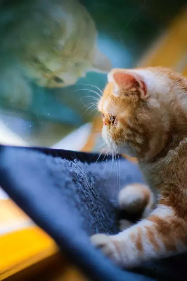 程两两|扁脸超厉害的!