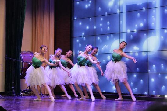 济南舞蹈艺考专业培训班,济南舞蹈艺考培训招生简章