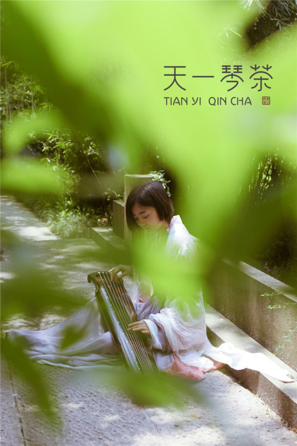 忠诚与信赖,天一琴茶古琴认养