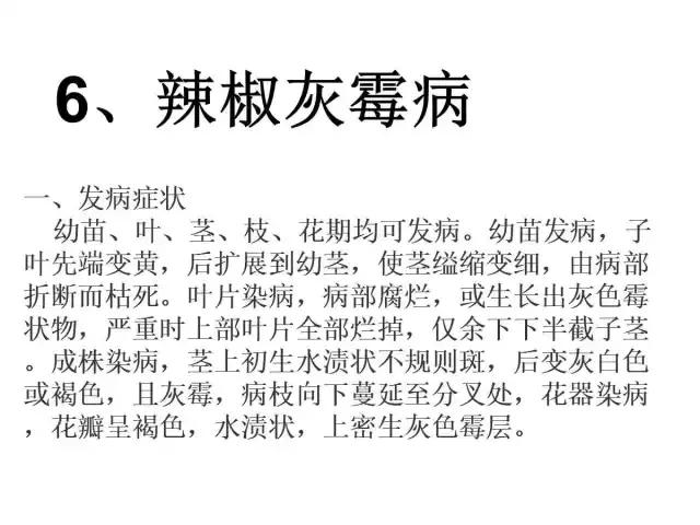 辣椒卷叶病虫害图谱及防治方案,辣椒病虫害大全