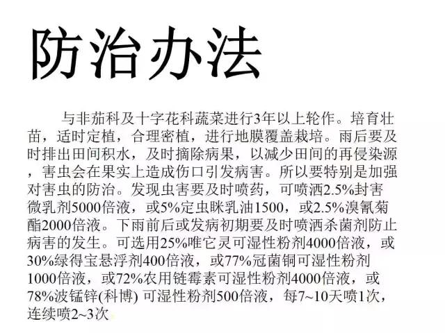 辣椒卷叶病虫害图谱及防治方案,辣椒病虫害大全