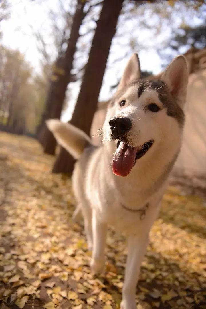 第n次不相爱,到农村卖净水器的骗术要怎样报警