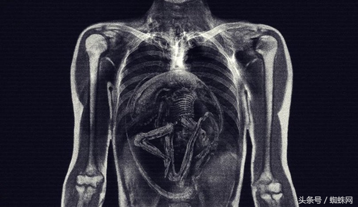 异形契约155分钟版多了些什么,异形契约删减部分解析