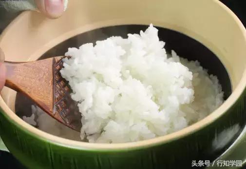 不踩雷的网红店推荐,完全不踩雷的网红店