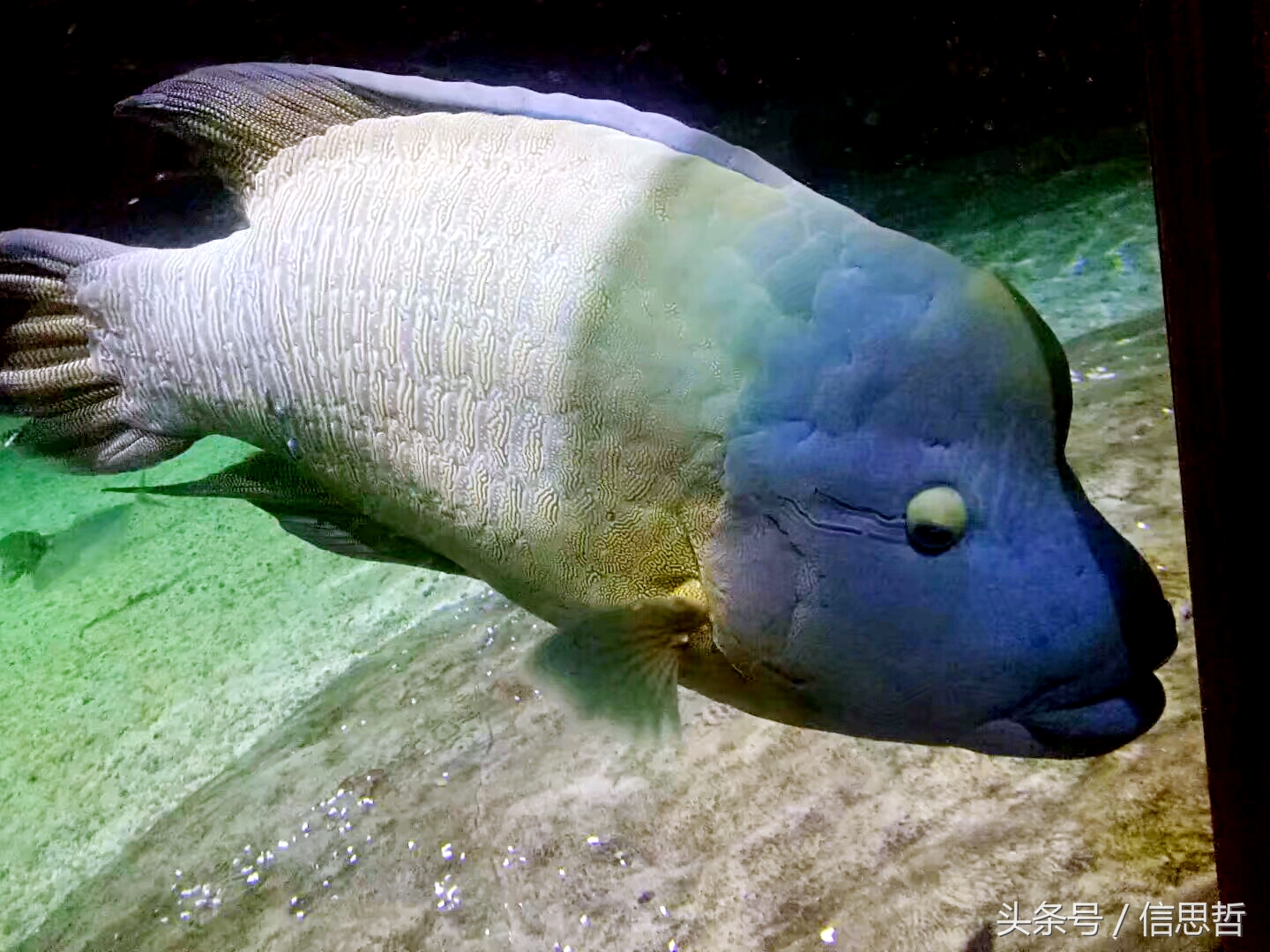 去香港旅游应该去哪玩,去香港旅游攻略最新消息