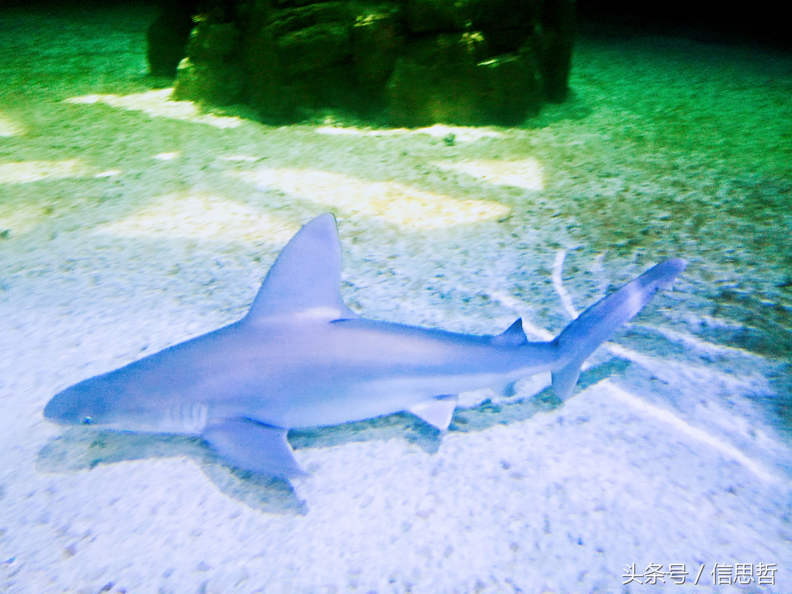 去香港旅游应该去哪玩,去香港旅游攻略最新消息