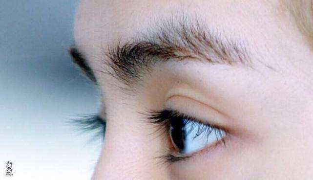 年轻人的偶像鹿晗,鹿晗优质偶像