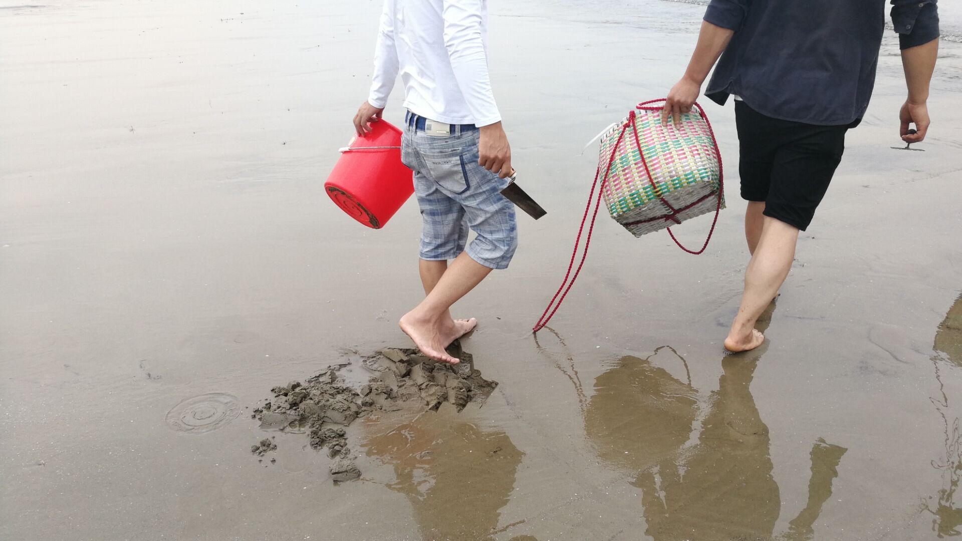 黄蛤怎么捕食,挖青蛤的正确方法视频