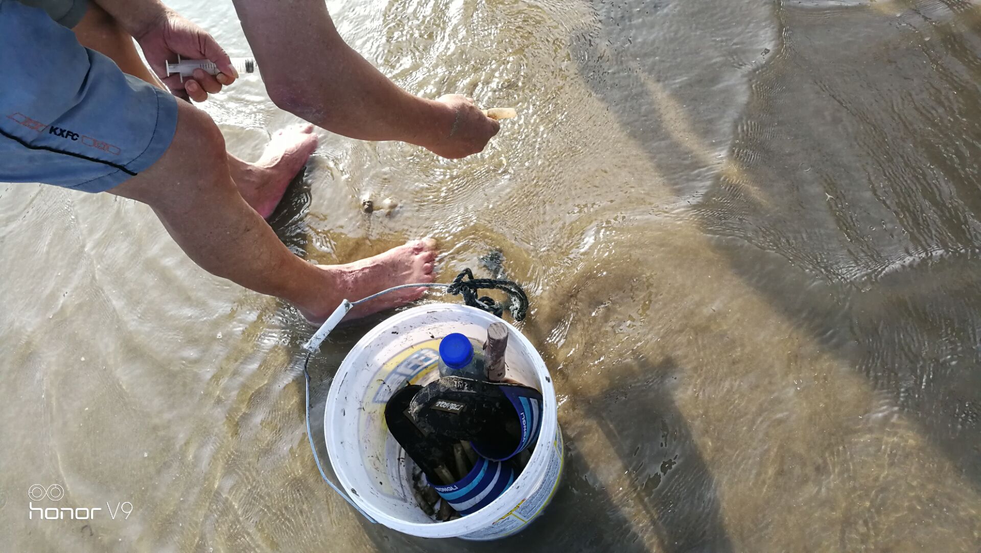 黄蛤怎么捕食,挖青蛤的正确方法视频