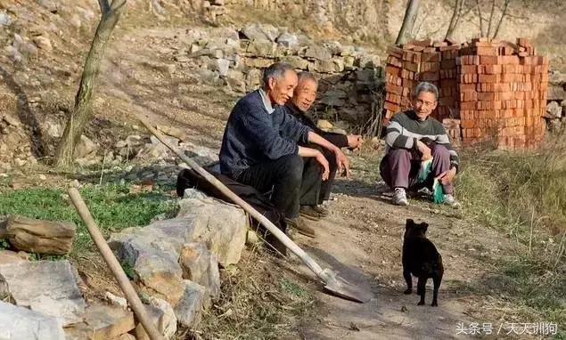 为什么农村不给养土狗,农村养狗跟城里的就是不一样