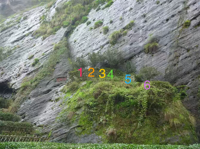 福建十大名茶品牌,福建十大名茶是乌龙茶吗