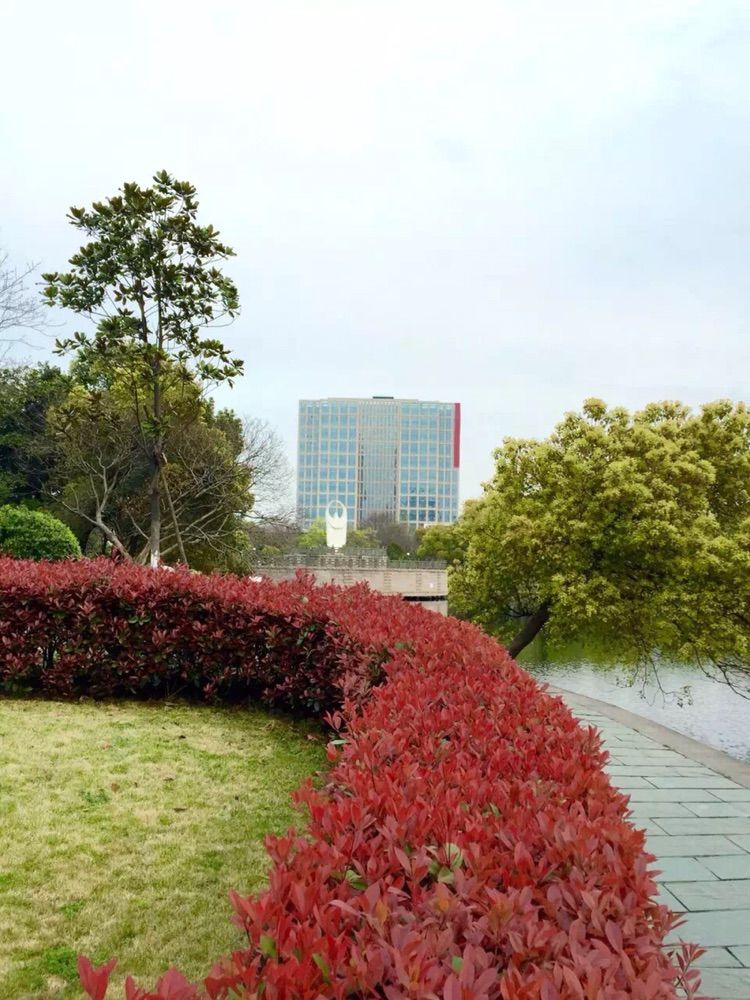 宁波是我国东南沿海城市,宁波属于东南西北