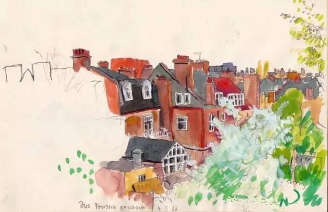 树丛｜大眼睛小眼珠，呆萌可爱舍夫勒