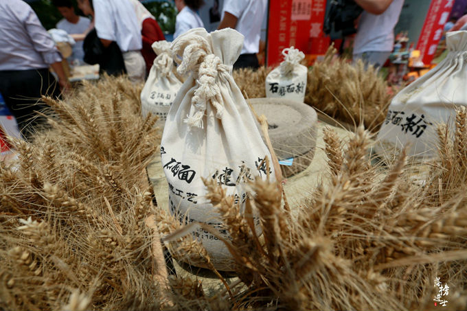 六月的巨鹿，“杏好”遇见你！