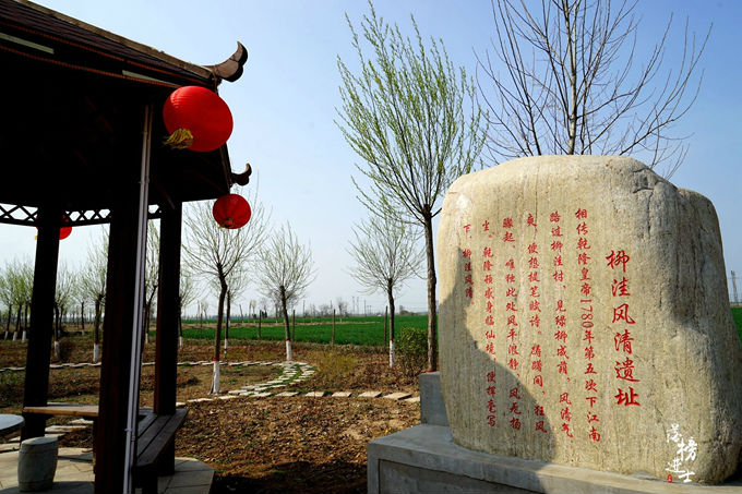 六月的巨鹿，“杏好”遇见你！