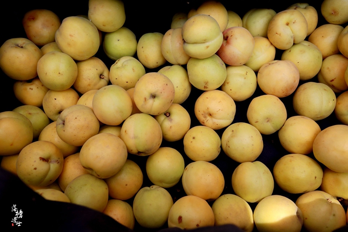 六月的巨鹿，“杏好”遇见你！