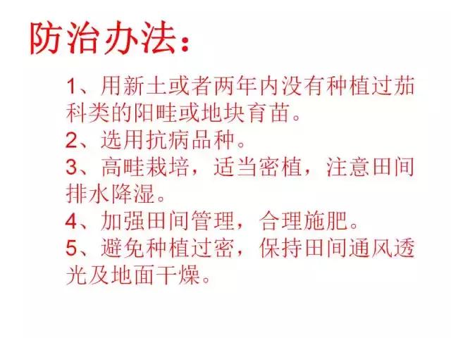 辣椒卷叶病虫害图谱及防治方案,辣椒病虫害大全