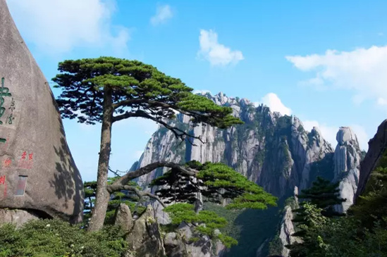 黄山自由行史上黄山最全攻略,黄山自由行路线攻略最新一期