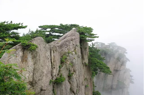 黄山自由行史上黄山最全攻略,黄山自由行路线攻略最新一期