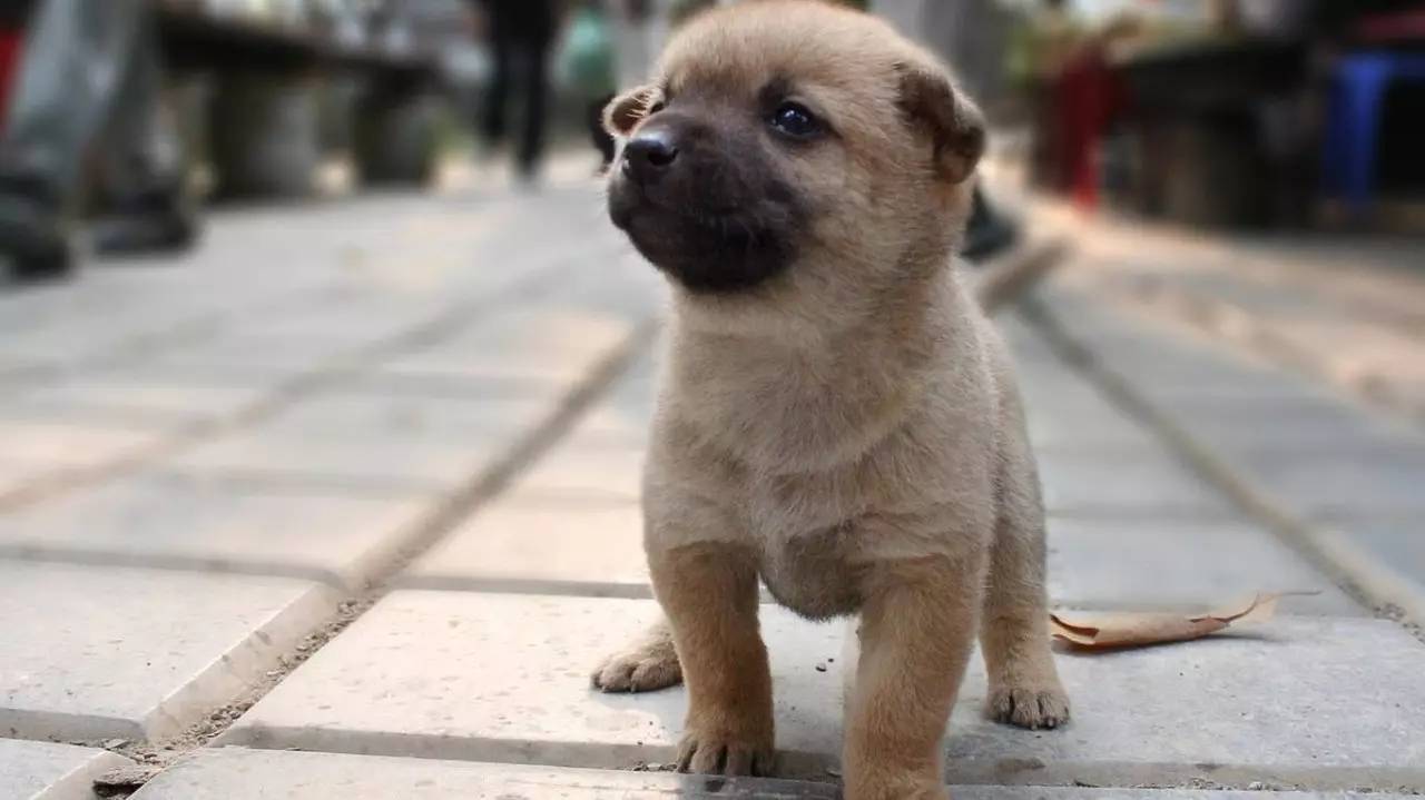 第n次不相爱,到农村卖净水器的骗术要怎样报警