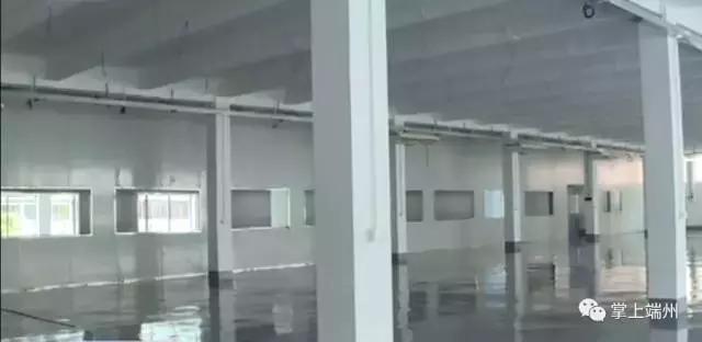 肇庆鼎湖区招商引资最新,肇庆新区最新招商消息