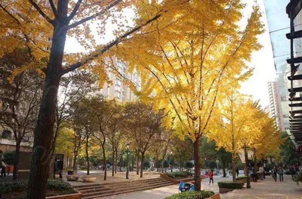 二十年后再看经典电视剧,古北现状