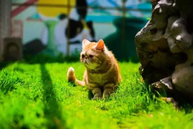 程两两|扁脸超厉害的!