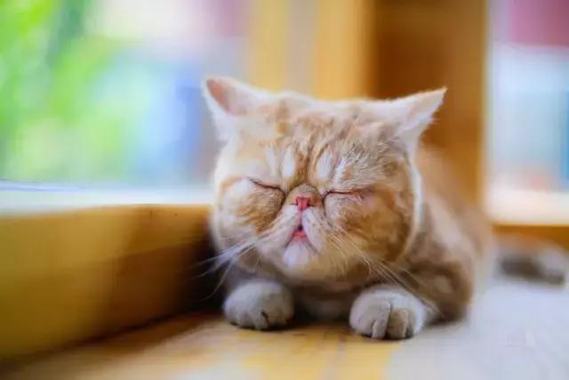 程两两|扁脸超厉害的!