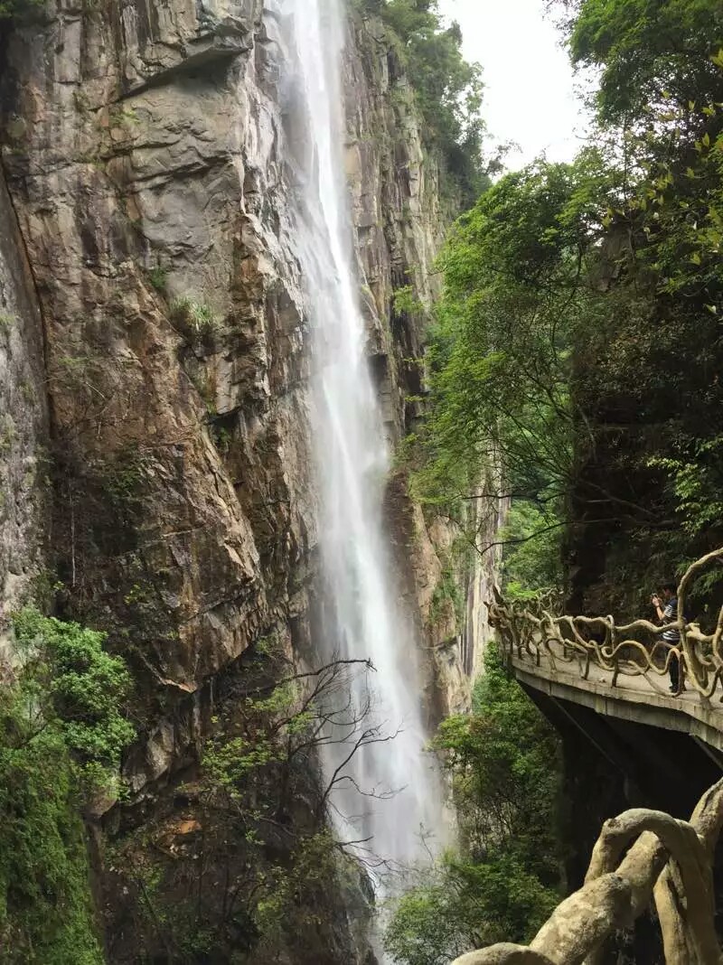 侠客天下职业,侠客天下视频