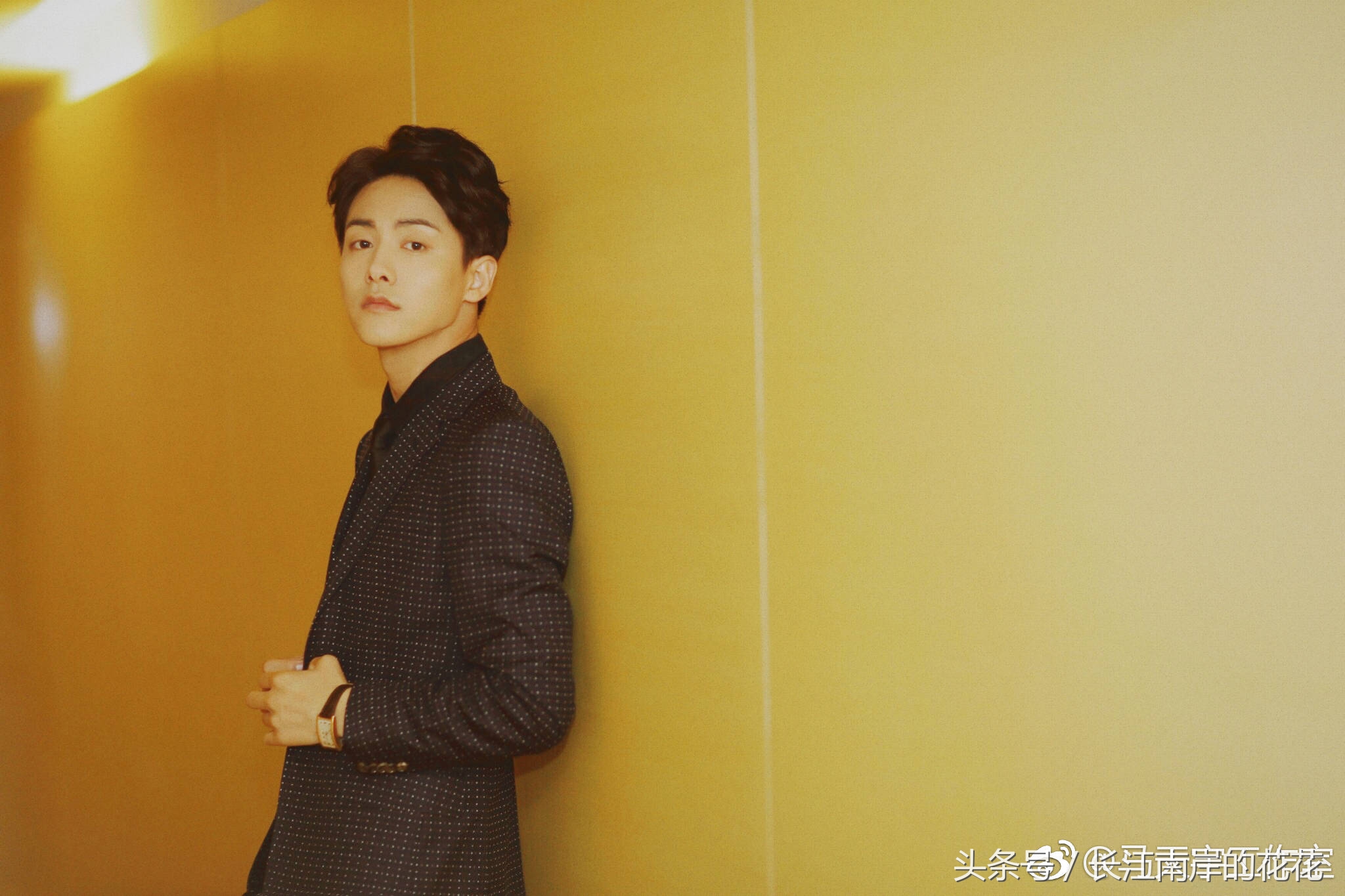 马天宇出席会场,马天宇上海卫视跨年演唱会