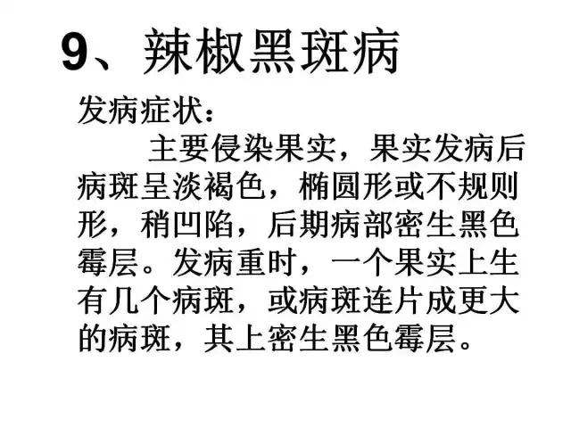 辣椒卷叶病虫害图谱及防治方案,辣椒病虫害大全