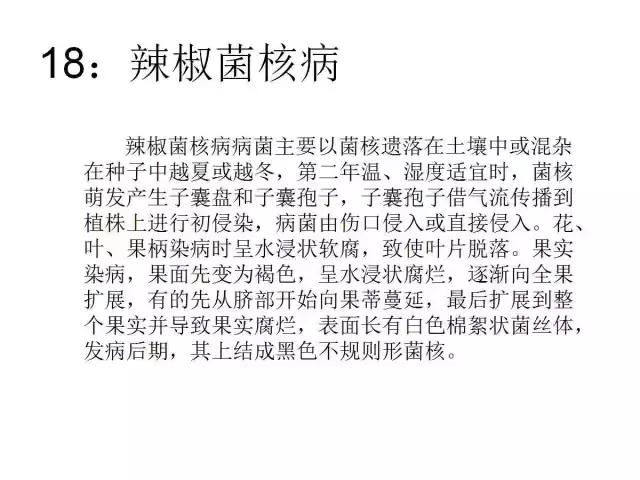 辣椒卷叶病虫害图谱及防治方案,辣椒病虫害大全