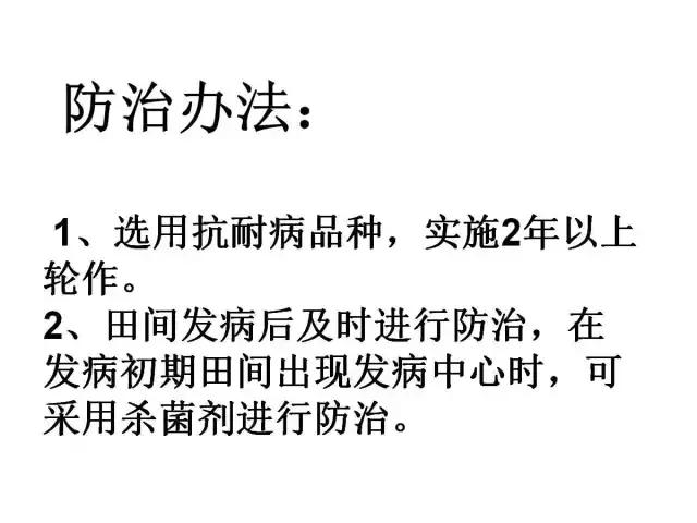 辣椒卷叶病虫害图谱及防治方案,辣椒病虫害大全