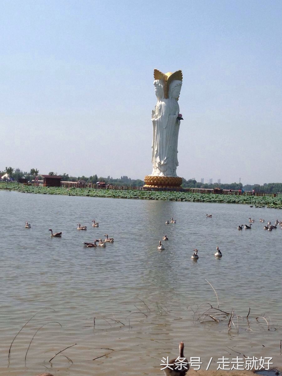 雄安新区白洋淀今日最新消息,雄安白洋淀近况