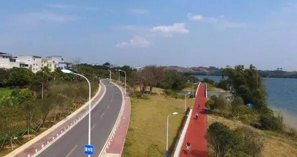 柳州，一座经常被电驴超车的城市！看完一把辛酸泪